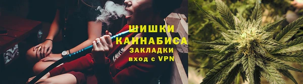 гидропоника Алзамай