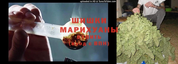 гидропоника Алзамай