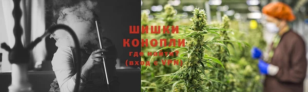 гашик Алексеевка