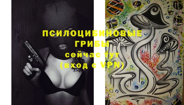 гашик Алексеевка