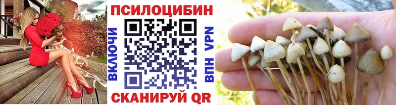 Галлюциногенные грибы Cubensis  закладка  Суворов 